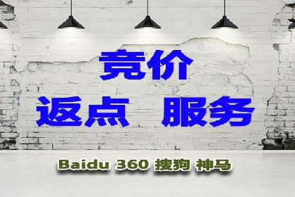 百度竞价SEM案例：揭秘高效广告投放技巧